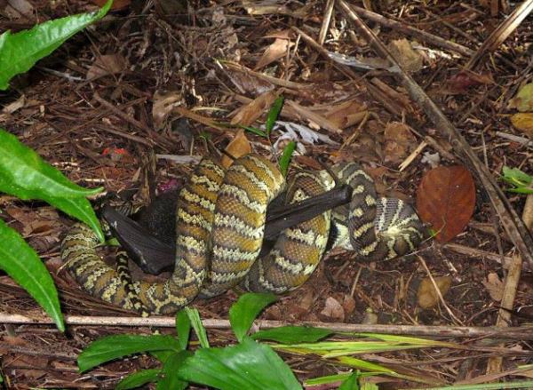 6 saatin sonunda avn tam olarak yutan ylann o grntleri Kean'n objektifine ite byle yansd.