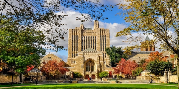 Yale niversitesi (Yale University) Amerika Birleik Devletleri'nin Connecticut eyaletinin New Haven kentinde bulunan zel bir niversitedir.    ABD'nin nc en eski niversitesi ve en prestijli okullarndan biridir. lkenin en tannm sekiz zel niversitesini bir araya getiren Sarmak Ligi (en:Ivy League) yesidir. Son 33 ylda ABD bakan olan alt kiiden drd Yale mezunudur. Yale niversitesi'nin mottosu olan Lux et veritas n anlam k ve gerektir.    1701 ylnda Collegiate School ad altnda kurulan niversitenin kkleri 1640'lara uzanr. O zamanlar bir koloni olan Connecticut iin st dzeyde eitimli grevli ve papaz yetitirmek isteyen ruhbanlar, burada bir okul kurmak iin izin alrlar. Daha sonra, 1718 ylnda Galli Elihu Yale'in yapt balara karlk okulun ad Yale olarak deitirilir. 1861'de lkedeki ilk doktora derecesi de yine bu okul tarafndan verilmitir.