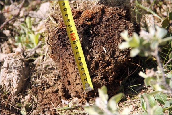 Kresel snma neticesinde neredeyse yzde 80'i buzla kapl blgede buzlarn erimesinin yol at deliin esrar bylece zlm oldu.