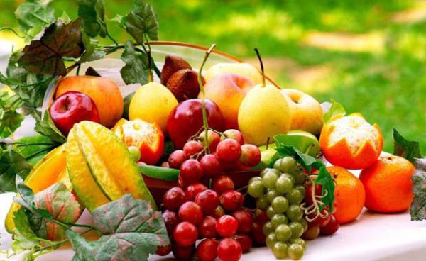 Salkl diye ok fazla yemek.<br>    Meyve, sebze, kuruyemiler ve zeytinya salkl gdalar olabilir; ancak bu gdalar da ar tketmek kiloya sebep olacaktr.