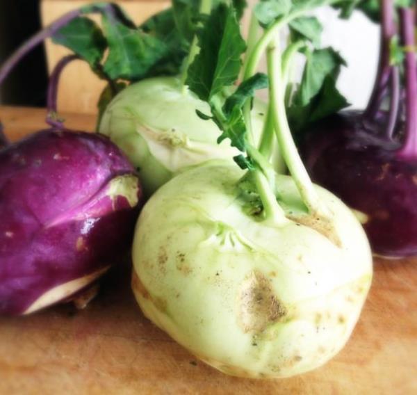zellikle Avrupa'da ok fazla bulunan ve tketilen Alaba ( kohlrabi ), aslnda biraz turba ve algama benzeyen vitamin ve mineral bakmndan olduka zengin, kalorisi dk ve son derece deerli bir sebze.