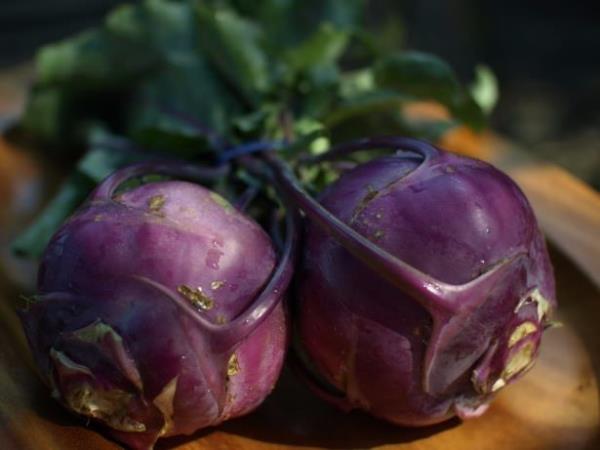 - Nefes darl ve astma iyi geliyor.