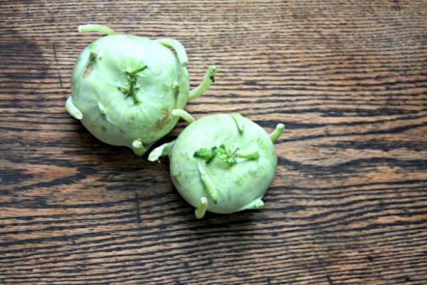 Ancak dikkat edilmesi gereken nokta, btn turpgiller gibi alaba da vcuttaki iyot emilimini azaltyor. Bu nedenle eer haftada 3-4 defadan daha fazla tketecekseniz, iyot bakmndan zengin beslenmeniz gerekiyor.