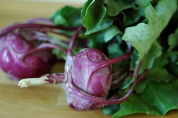 - Gl bir antioksidan olduu iin kansere kar koruyucu zellii olan Alaba, akcier ve kaln barsak gibi baz kanser trlerine yakalanma riskini azaltyor.