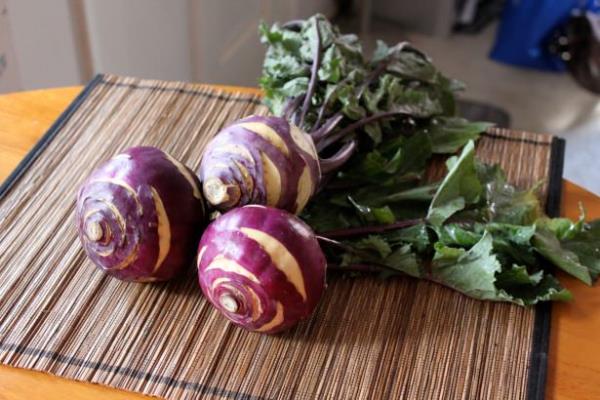 - Sinir sistemi hastalklarn tedavi edici zellii bulunuyor.