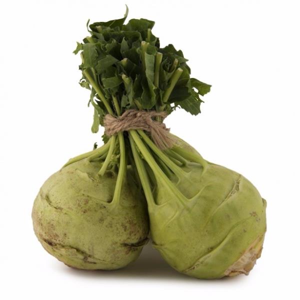 - Bbrek ta, katarakt ve fel oluumunu azaltyor. Ayn zamanda bbrek ve safra kesesinde oluan talarn dmesine yardmc oluyor.