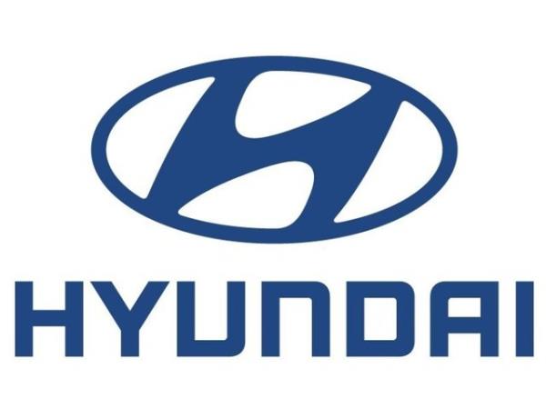 Hyundai<br>  95 adet problem