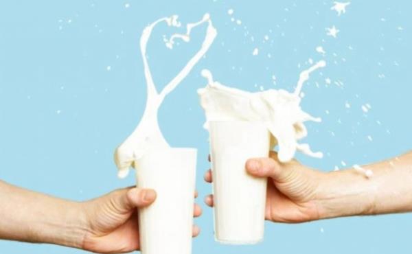 S�t: �ene kemiklerini g��lendirip, di� eti hastal���ndan korur. Kalsiyum a��s�ndan �ok �nemlidir.