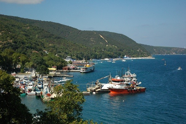 RUMEL KAVAI  <br>  Rumeli Kava&#8217;n Anadolu&#8217;dakinden ayran zellii plajlar. Ancak kn bir ie yaramazlar. Sadece sahilde yapacanz upuzun yryle yetinmelisiniz. Az sonra yolunuz Midye ars&#8217;na decek. Daha sonra mehur incirinin tadna doyamayacak hatta bir de balk lokantalarndan birine oturup, manzaray seyre dalabilirsiniz.