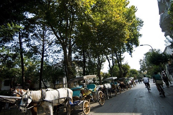 NEADA<br>    hreti byk. Hakknda &#8220;Trakya&#8217;nn incisi&#8221; deniyor. Krklareli&#8217;ne bal neada, denizi, glleri, longoz ormanlar ve sakl dereleriyle nn hak ediyor. Bir hafta sonu neada Longoz Ormanlar&#8217;na giderseniz kendinize byk bir iyilik yapm olacaksnz. O yzden su geirmeyen botlarnz giyin, rehberli turlardan birini sein. nk adn bile bilmediiniz aalar ve kular sizi bekliyor.