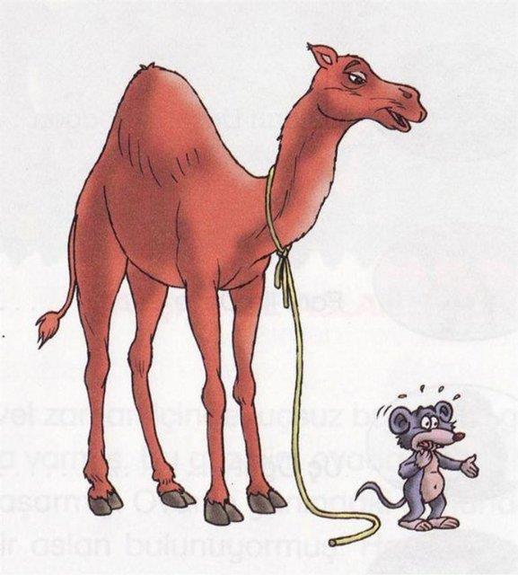 Bir fare bir deveden daha uzun s�re susuzlu�a dayanabilir.