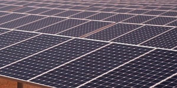 Kamps enerji ihtiyacnn tamamn 700 bin metrekarelik bir alan kaplayan yenilenebilir solar enerji panelleriyle karlayacak.