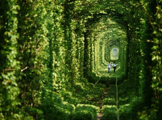 Ukrayna&#8217;da bir demir yolunun  kilometrelik blm, muhteem gzelliiyle insanlara kendilerini ryadaym gibi hissettiriyor.