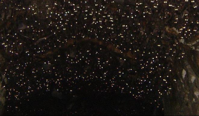 Flalarn patlayan klaryla duvarlardaki parlamalar fark eden grup biraz yaknlanca gerekle yzleti.