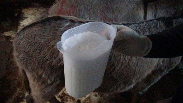 Petroln litresi 56 kuru ederken eek stnn litresi 80 liray buldu.