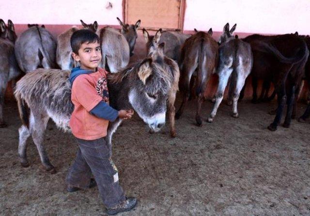 Bu da demek oluyor ki 1 litre eek st ile 143 litre petrol alnabiliyor.