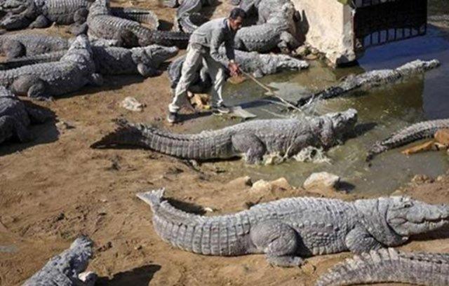 svireli bilim adamlar bu konuda henz yeni bir aratrma yapmad ama biraz sonra greceiniz fotoraflar bu kany hakl karacak cinsten...