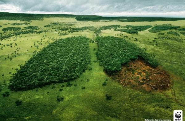 Salk, sosyal sorumluluk ve evre bilinci konularnda tasarlanm 60 yaratc ilan.