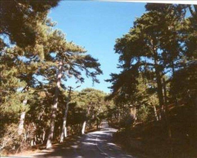 YOZGAT Yozgat isminin kaynana ilikin deiik sylentiler vardr. yozgat sr veya otlak kent anlamna gelir. bozok yaylas eskiden beri hayvancln gelimesinde nemli yer tutmutur.Yozkent, srleri bol olan ehir anlamna gelmektedir. daha sonra bu ismin yozgat olarak deiiklie urad ileri srlmektedir.