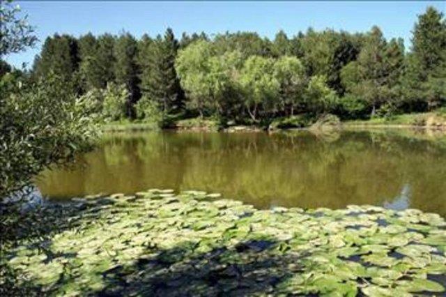 BTLS Kimi tarihilere gre, &#8220;Bage&#8221; ya da &#8220;Pagi&#8221; szcklerinden tremitir. Kimilerine gre de Byk skender&#8217;in komutan &#8220;Lis&#8221; ya da &#8220;Badlis&#8221; burada bir kale kurmu. Bitlis szc bu komutann isminden kaynaklanyormu.