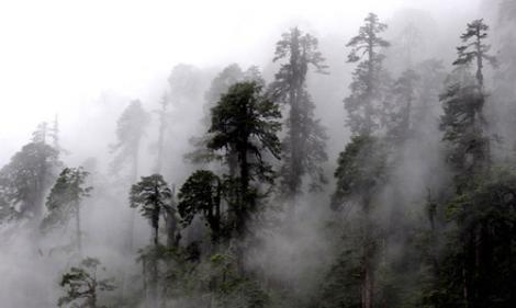 Motuo li, in  <br>  in&#8217;in halen yol balants olmayan tek ili Motuo, Asya&#8217;nn medeniyetten uzak kalm olan Tibet zerk blgelerinden biri. Motuo&#8217;ya gitmek iin en zorlu corafi koullarla ba etmeniz ve Himalaya Dalar&#8217;nn buz tutmu geitlerinden geip, 200 metre ykseklikteki asma kprlerden gemeniz gerekiyor. Eer bu zorluklar aabilir ve Motuo&#8217;ya ulaabilirseniz, Budizm&#8217;in sahip olduu en gzel oyma heykellerin yer ald kutsal kabul edilen topraklara varabilirsiniz.