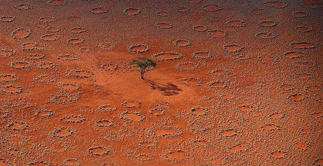 8. Namibya'daki gizemli emberler: Burada yaayan bir kum termiti trnn sebep olduu doa olaydr.
