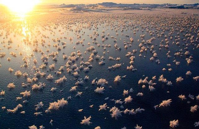 29. Buz iekleri: Genellikle deniz ve gller zerinde yeni oluan buz tabakalarnda -22 derece civar scaklklarda grlr.