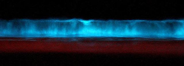 26. Red tide ( krmz dalga ): Suda yaayan baz fitoplanktonlarn yksek konsantrasyonlarnn neden olduu durumdur. Bu durumda ate rengi algler krmz veya kahverengi renk alr.