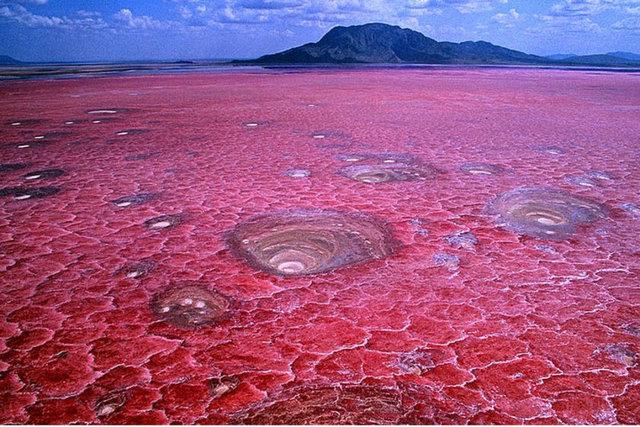 23. Natron Gl, Tanzanya: 2.5 milyon flamingonun beslenme ve reme blgesi olan zengin mineralli scak sularla beslenen bir tuz gldr.