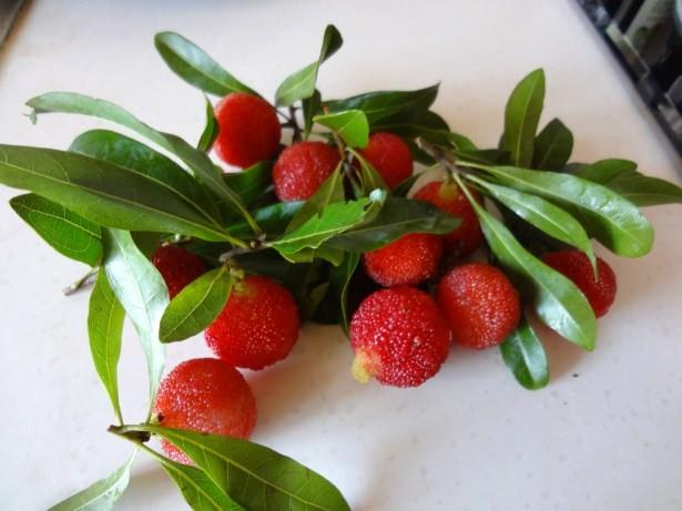 Doru besinlerle vcudun terlemeyle kaybettii elektrolit ve svy geri kazandrmak gerekiyor. Bunun iin de lii potasyum ve mineraller sayesinde vcudun ihtiyac olan  elektrolit ve svy geri kazandryor.