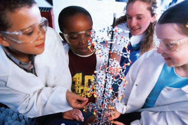 te hala almalara devam eden en srad yeteneklere sahip ocuklardan 7 tanesi...