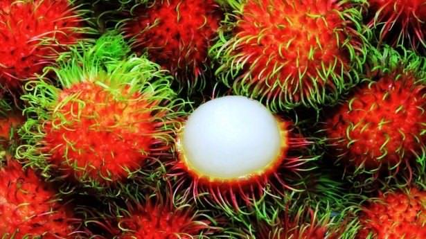 Kral meyvesi olarak da bilinen lii, scak iklimleri seviyor ve lkemizde de Mersin'de yetitiriliyor.D sert ve kabuklu olan liinin ii yumuak ve beyaz, tad ise olduka tatl bir zm andryor.