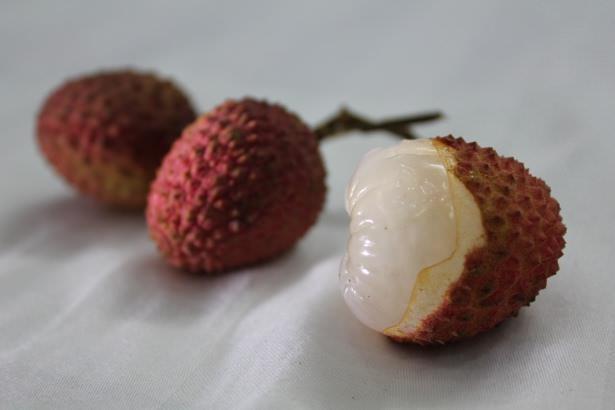 Cildi genletiriyor, parlak ve canl grnmesini salyor.