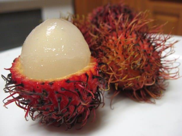 LNN YAN ETKLER VAR MI?