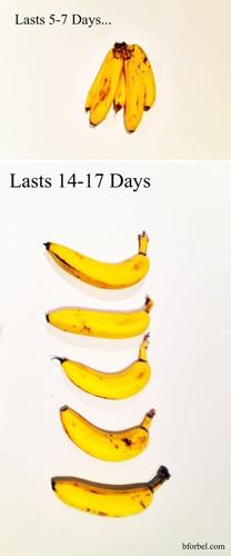 Muzlar birbirinden ayrarak muhafaza edin, bylelikle daha ge bozulacaklardr.