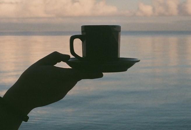 5. Az Sal: Yaplan almalar siyah ayn plak oluumunu azaltt ve rk oluumuna neden olan bakteri geliimini kstlad zerinde duruyor. Siyah ayda bulunan polifenoller, az boluunda bulunan bakterilerin di plak oluumunu ve yapkanlk tadna neden olan enzimlerin geliimini engelliyor.