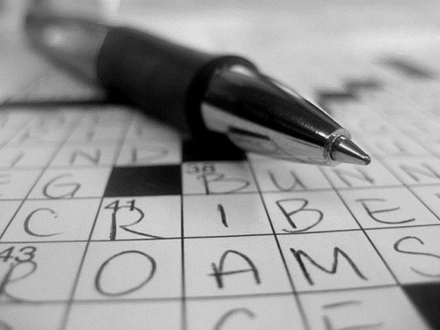 Bulmaca Yazar    <br>Yllk 70 bin dolar