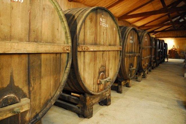 arap Gurusu  <br>  Yllk 51 bin dolar