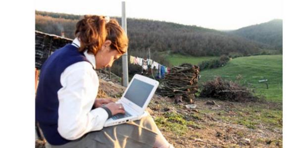 nternet kategorisinde sralama 'Twitter', 'Google', 'Hotmail' ve 'MSN' eklinde olutu...