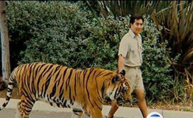 Dier kedigillere gre daha paylamcdrlar.