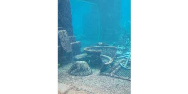 8. Atlantis'in en eski kolonisi muhtemelen Msr'd. Onun uygarl da Atlantis'in kopyasdr...