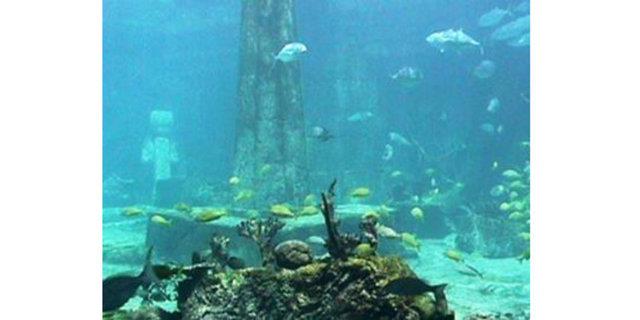 Atinal filozof Platon (Eflatun, M.. 429-347), Timaeus ve Critias adl diyaloglarnda, efsanevi kayp uygarlk Atlantis'in yksn dile getirmi, ancak onu bitiremeden lmtr. O zamanlardan bu yana tartma konusu olan Atlantis yksn, kimilerine gre Platon uydurmutu...