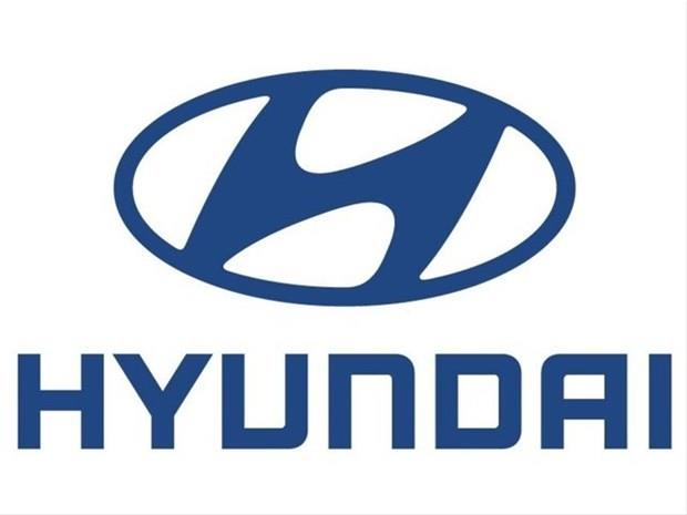 Hyundai<br>  95 adet problem