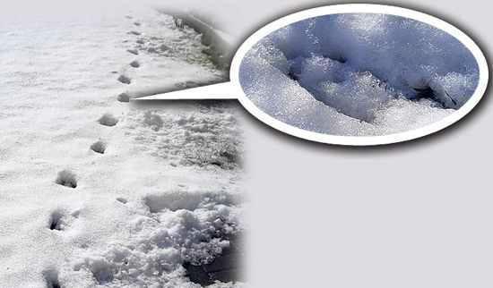 eytann Ayakizleri: ngiltere'nin Devon kentinde 8 Aralk 1855 gecesi ve bunu takip eden 2 gece karn zerinde insan ayak izine benzemeyen izler grlm. 6 cm geniliinde, 20 cm uzunluundaki bu ayak izleri 160 km boyunca hep ayn ekilde grlebiliyormu.