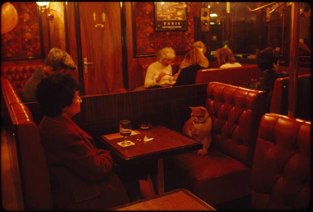 Fransa (Paris), 1988