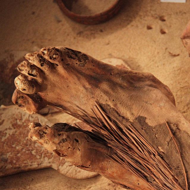 Cesedi korumak iin ona zel bir uygulama yapp yapmadklarn bilmiyoruz.