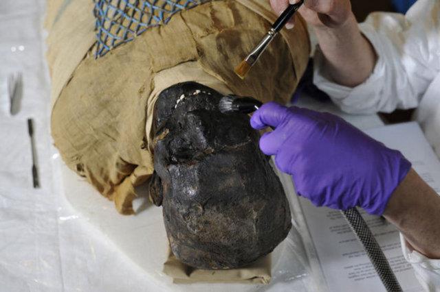 Ayn blgede bulunan 2 dier iskelet de inceleniyor.