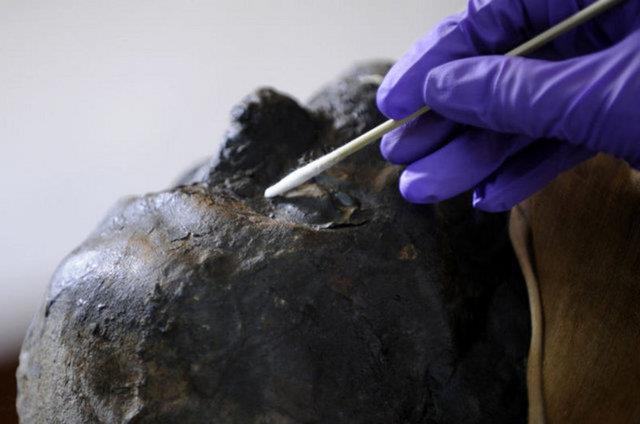 Arkeologlar, erkek mumyann kyafetlerinin de bu Hanedanlk dneminden izler tadn belirtti.