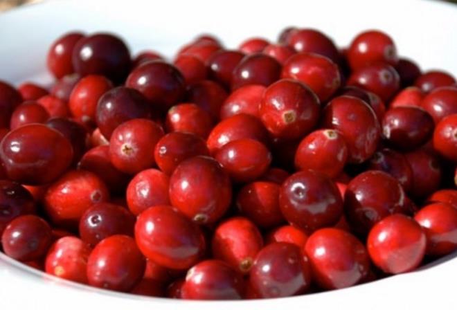 Kzlck, damarlarn tkanmasn engelleyerek kalp hastalklar riskini azaltr.