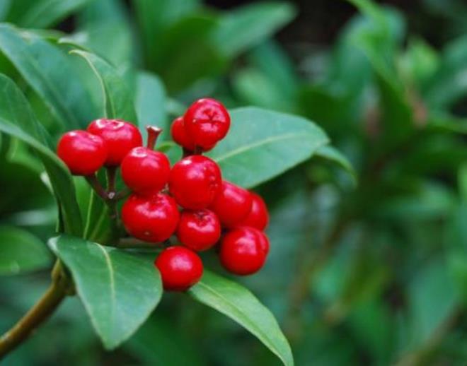 eker hastalar iin de yararldr.